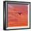 Into the Sunset-Steven Maxx-Framed Photographic Print