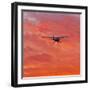 Into the Sunset-Steven Maxx-Framed Photographic Print