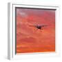 Into the Sunset-Steven Maxx-Framed Photographic Print
