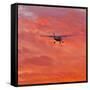 Into the Sunset-Steven Maxx-Framed Stretched Canvas