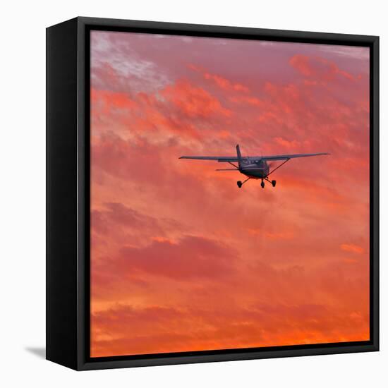 Into the Sunset-Steven Maxx-Framed Stretched Canvas