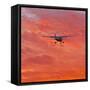 Into the Sunset-Steven Maxx-Framed Stretched Canvas