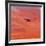 Into the Sunset-Steven Maxx-Framed Photographic Print