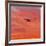 Into the Sunset-Steven Maxx-Framed Photographic Print