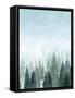 Into the Trees II-Grace Popp-Framed Stretched Canvas