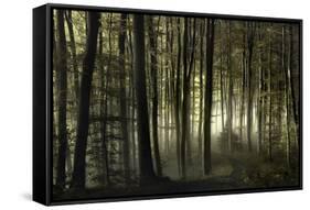 into the unknown-Norbert Maier-Framed Stretched Canvas
