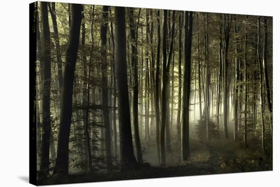 into the unknown-Norbert Maier-Stretched Canvas