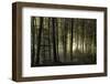 into the unknown-Norbert Maier-Framed Photographic Print