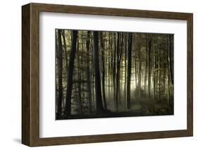 into the unknown-Norbert Maier-Framed Photographic Print