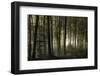 into the unknown-Norbert Maier-Framed Photographic Print