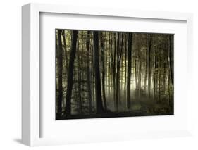 into the unknown-Norbert Maier-Framed Photographic Print