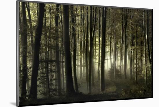 into the unknown-Norbert Maier-Mounted Photographic Print
