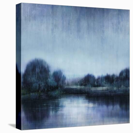 Into the Wetlands-Tania Bello-Stretched Canvas