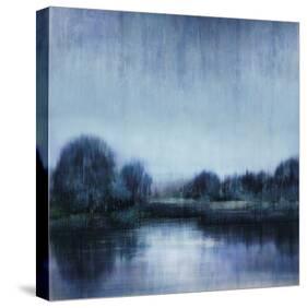 Into the Wetlands-Tania Bello-Stretched Canvas