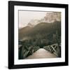 Into the Wilderness-Adam Brock-Framed Art Print