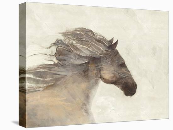 Into the Wind Ivory Reversed-Albena Hristova-Stretched Canvas