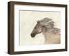 Into the Wind Ivory-Albena Hristova-Framed Art Print