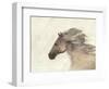 Into the Wind Ivory-Albena Hristova-Framed Art Print