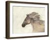 Into the Wind Ivory-Albena Hristova-Framed Art Print