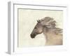 Into the Wind Ivory-Albena Hristova-Framed Art Print