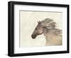 Into the Wind Ivory-Albena Hristova-Framed Premium Giclee Print