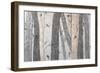 Into the Woods III-Jade Reynolds-Framed Art Print