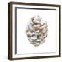 Into the Woods Pinecone I-Emily Adams-Framed Art Print