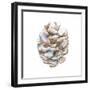 Into the Woods Pinecone I-Emily Adams-Framed Art Print