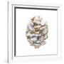 Into the Woods Pinecone I-Emily Adams-Framed Art Print