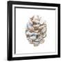 Into the Woods Pinecone I-Emily Adams-Framed Art Print