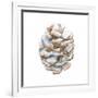 Into the Woods Pinecone I-Emily Adams-Framed Art Print