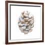 Into the Woods Pinecone I-Emily Adams-Framed Art Print