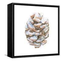 Into the Woods Pinecone I-Emily Adams-Framed Stretched Canvas