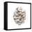 Into the Woods Pinecone I-Emily Adams-Framed Stretched Canvas