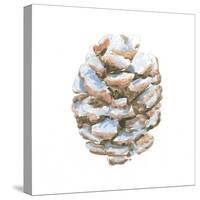 Into the Woods Pinecone I-Emily Adams-Stretched Canvas