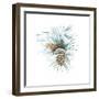 Into the Woods Pinecone II-Emily Adams-Framed Art Print