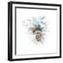 Into the Woods Pinecone II-Emily Adams-Framed Art Print