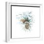 Into the Woods Pinecone II-Emily Adams-Framed Art Print