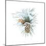 Into the Woods Pinecone II-Emily Adams-Mounted Art Print