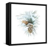 Into the Woods Pinecone II-Emily Adams-Framed Stretched Canvas