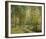 Into the Woods-Mark Chandon-Framed Giclee Print