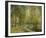 Into the Woods-Mark Chandon-Framed Giclee Print