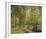 Into the Woods-Mark Chandon-Framed Giclee Print