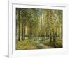 Into the Woods-Mark Chandon-Framed Giclee Print