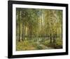Into the Woods-Mark Chandon-Framed Giclee Print