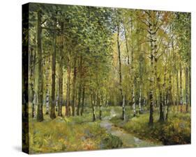 Into the Woods-Mark Chandon-Stretched Canvas
