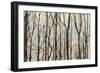 Into the Woods-Kyle Webster-Framed Premium Giclee Print