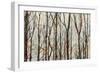 Into the Woods-Kyle Webster-Framed Premium Giclee Print