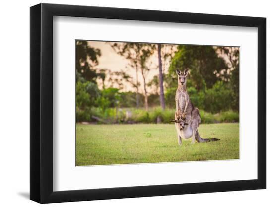 Premium Photographic Print, , large