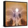 Intracranial Berry Aneurysm, X-ray-ZEPHYR-Framed Stretched Canvas